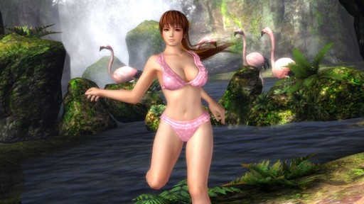 Dead or Alive 5 - DEAD OR ALIVE - краткая история серии и персонажей Dead or Alive 5 - DEAD OR ALIVE - краткая история серии и персонажей